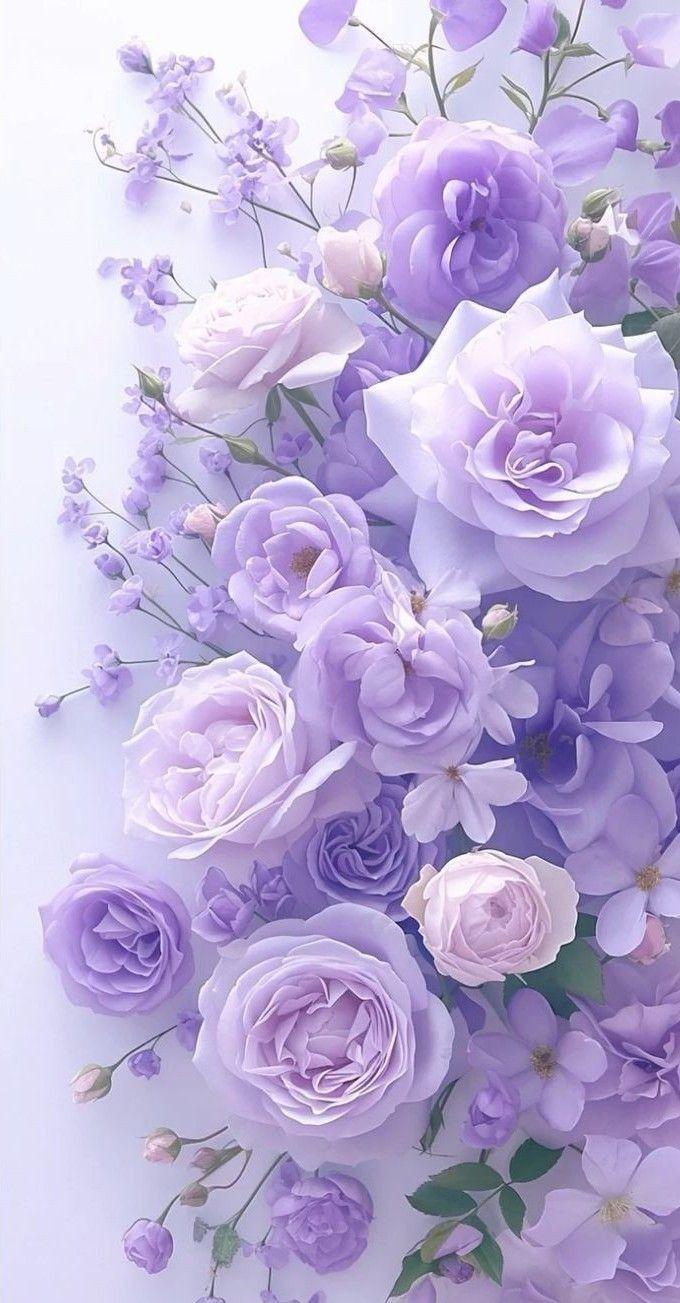 Sapphire Twilight Serenade Arrangement